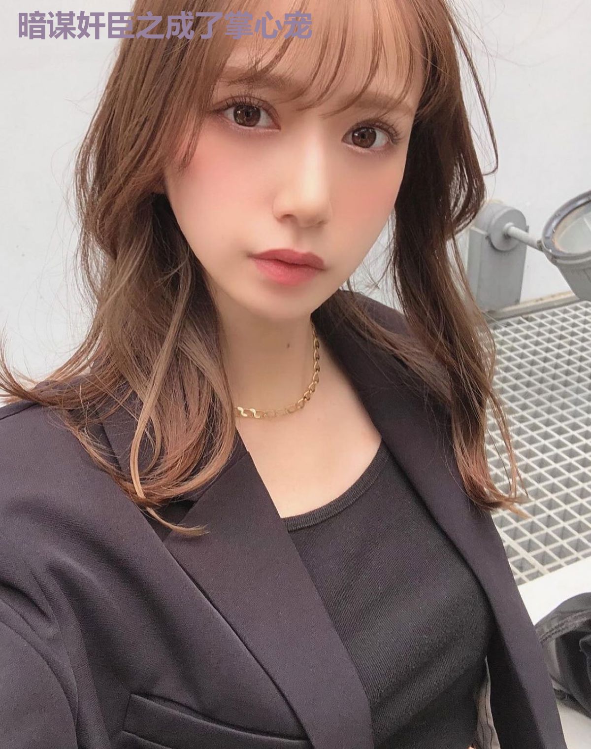 暗谋奸臣之成了掌心宠