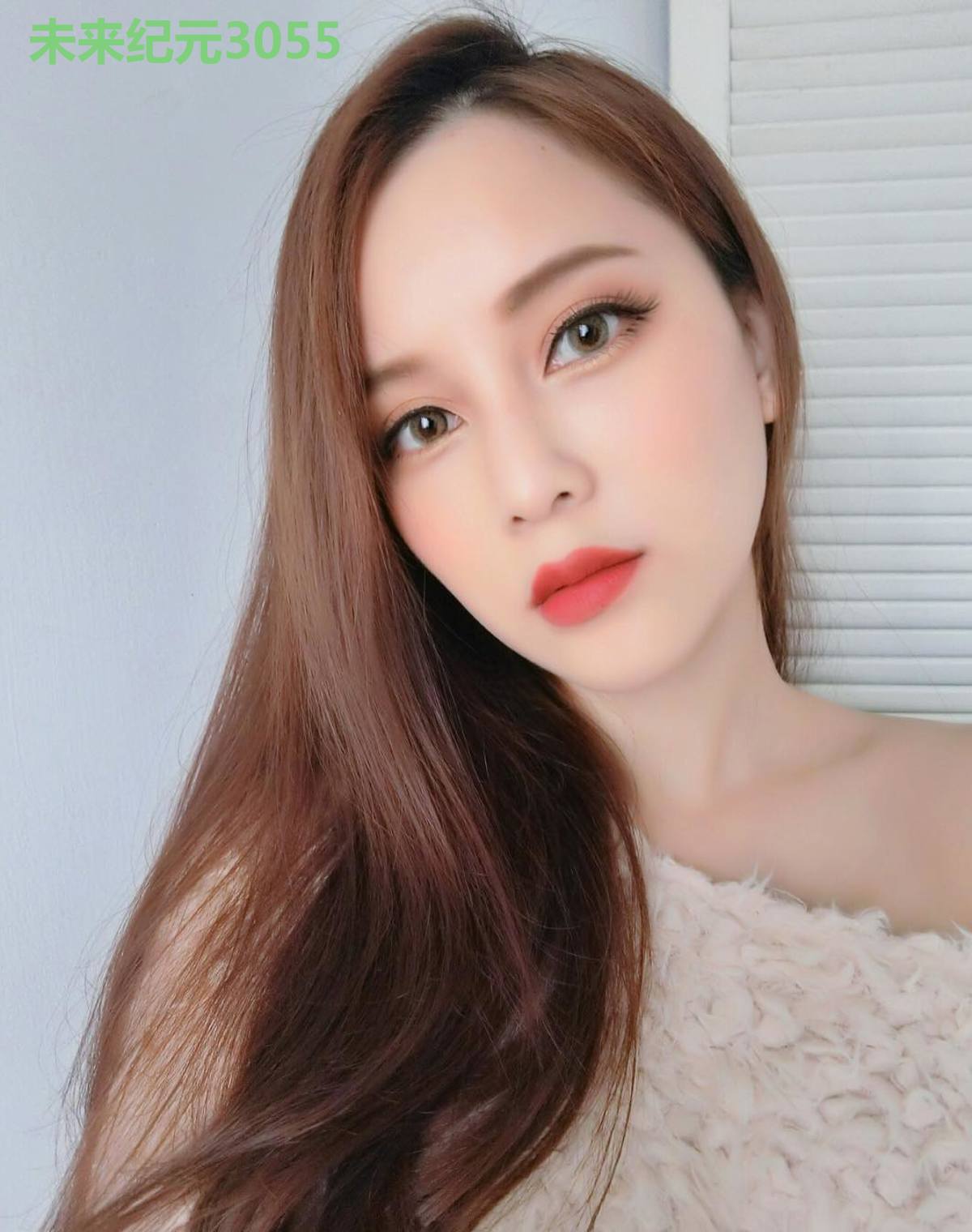 未来纪元3055