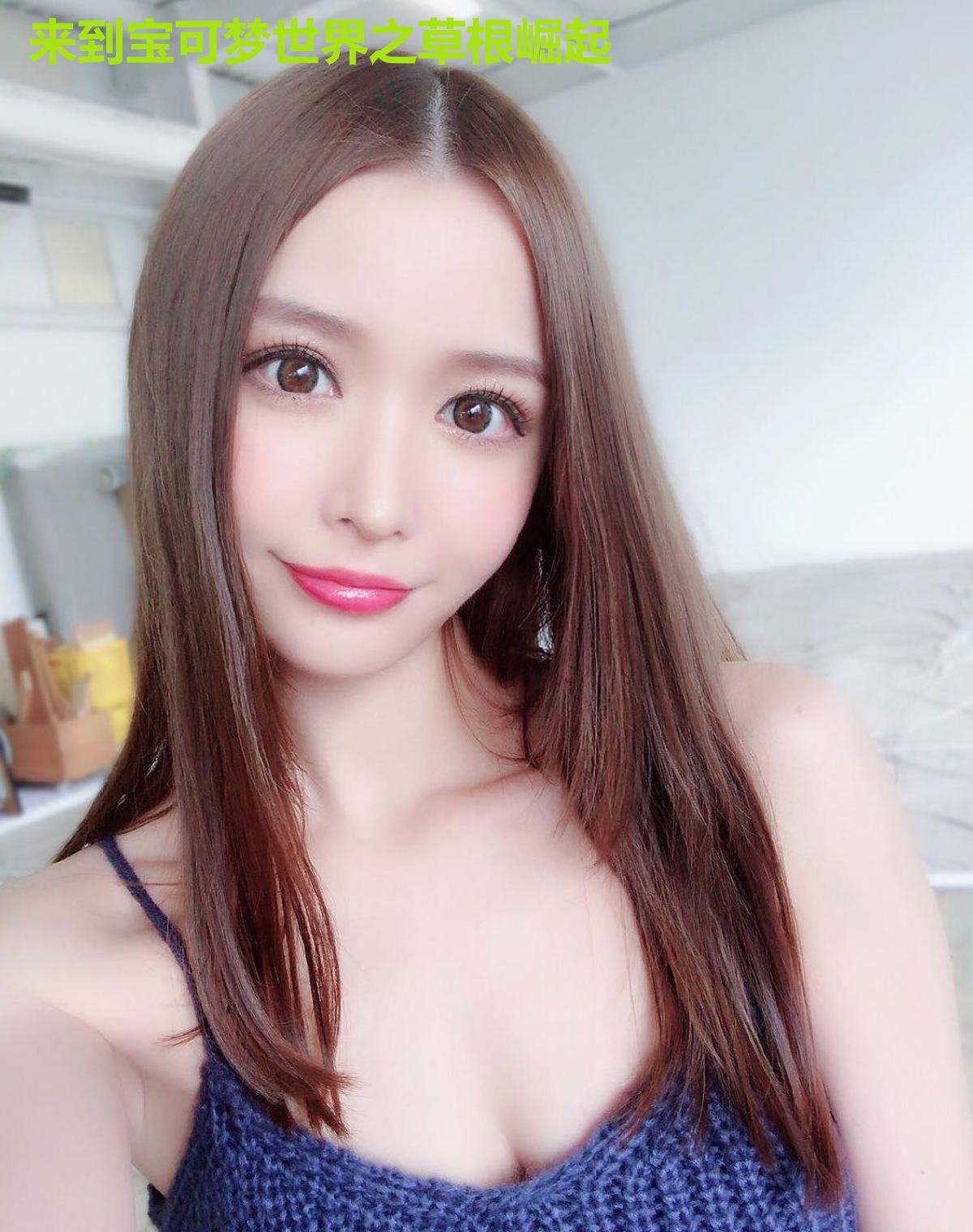 来到宝可梦世界之草根崛起