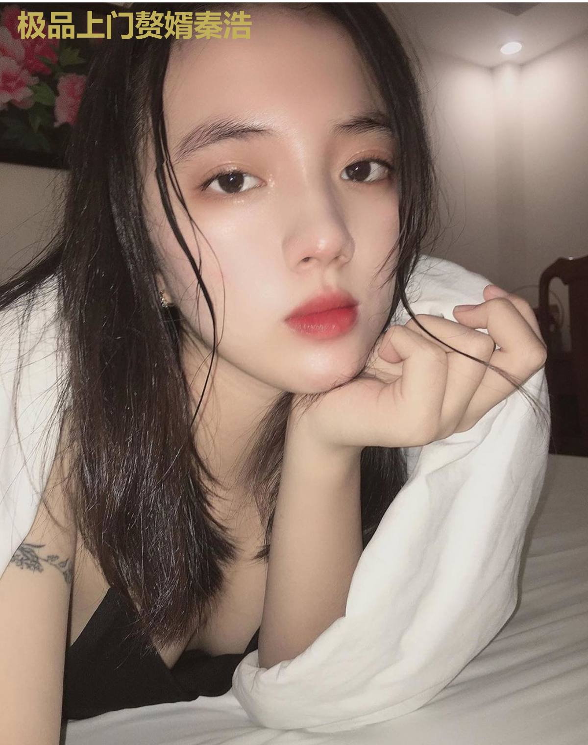 极品上门赘婿秦浩