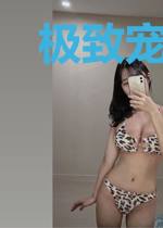 极致宠婚:霍少的定制新娘