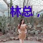 林总,跑路的太太找到了