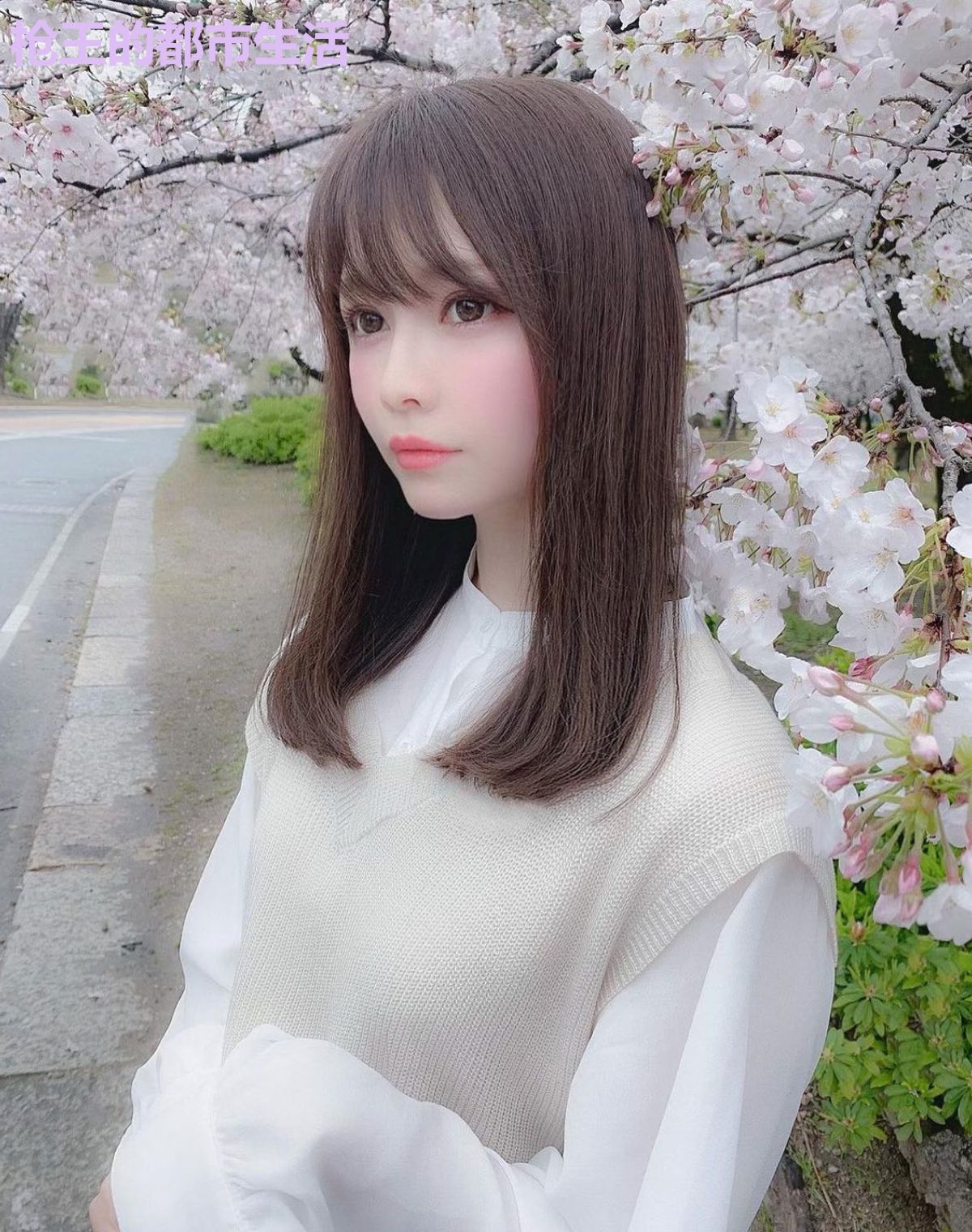 枪王的都市生活