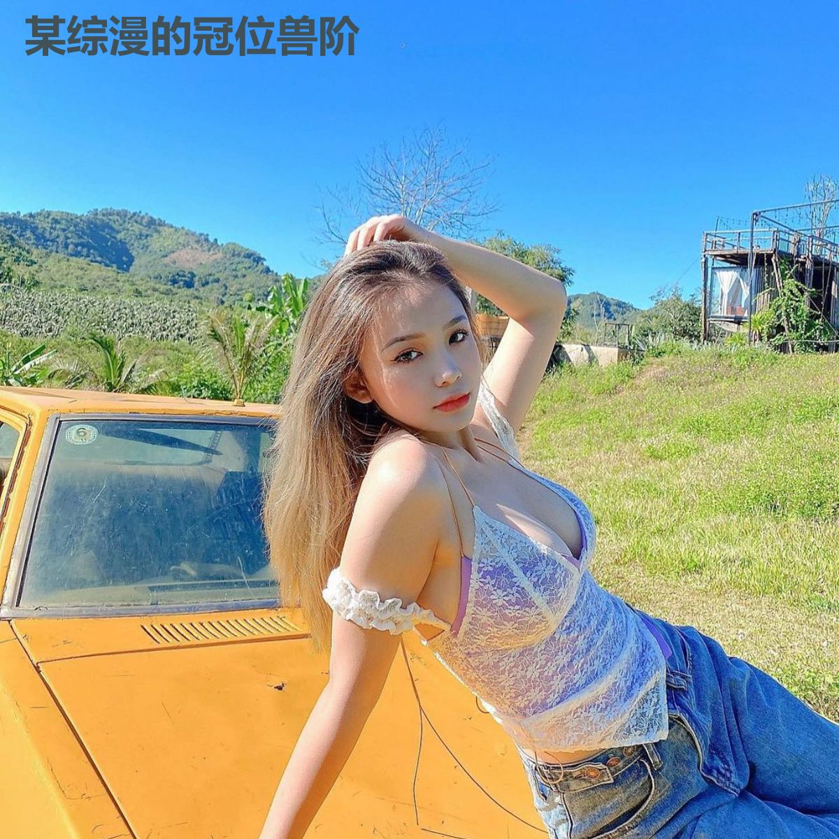 某综漫的冠位兽阶