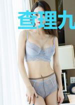 查理九世之电子幽灵
