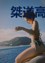 桀逆高校生