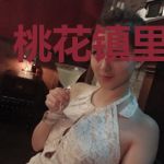 桃花镇里的故事