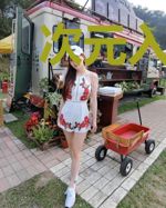 次元入侵现实地球