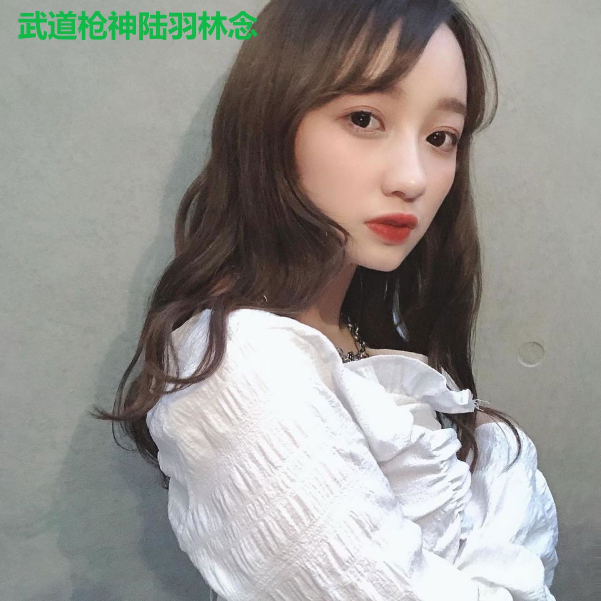 武道枪神陆羽林念
