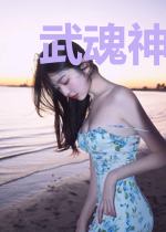 武魂神皇庄飞燕