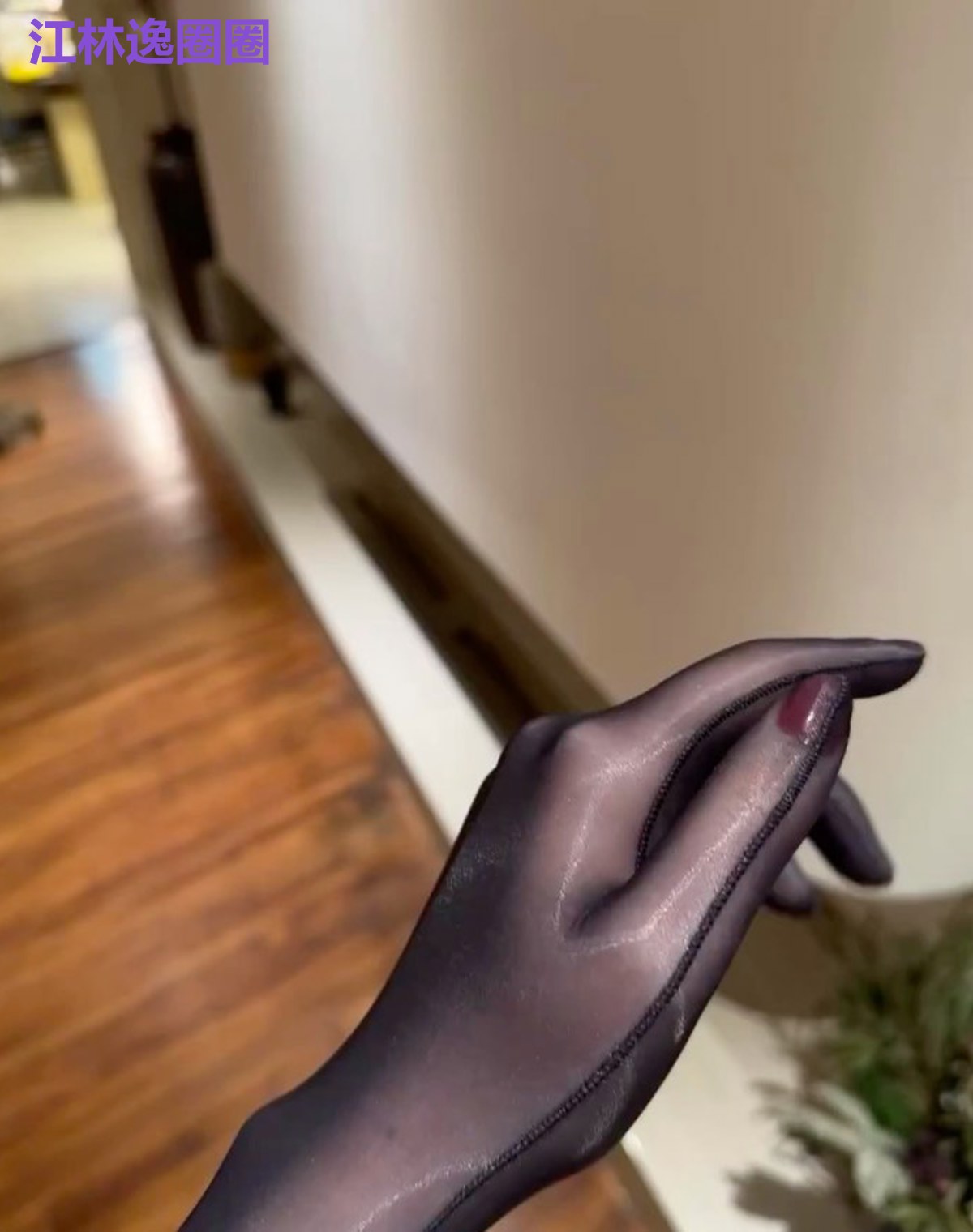 江林逸圈圈