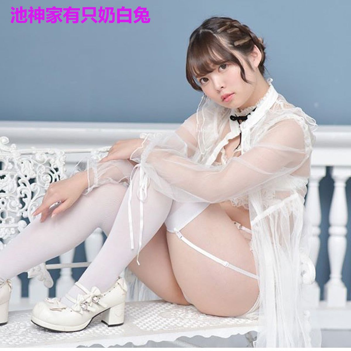 池神家有只奶白兔