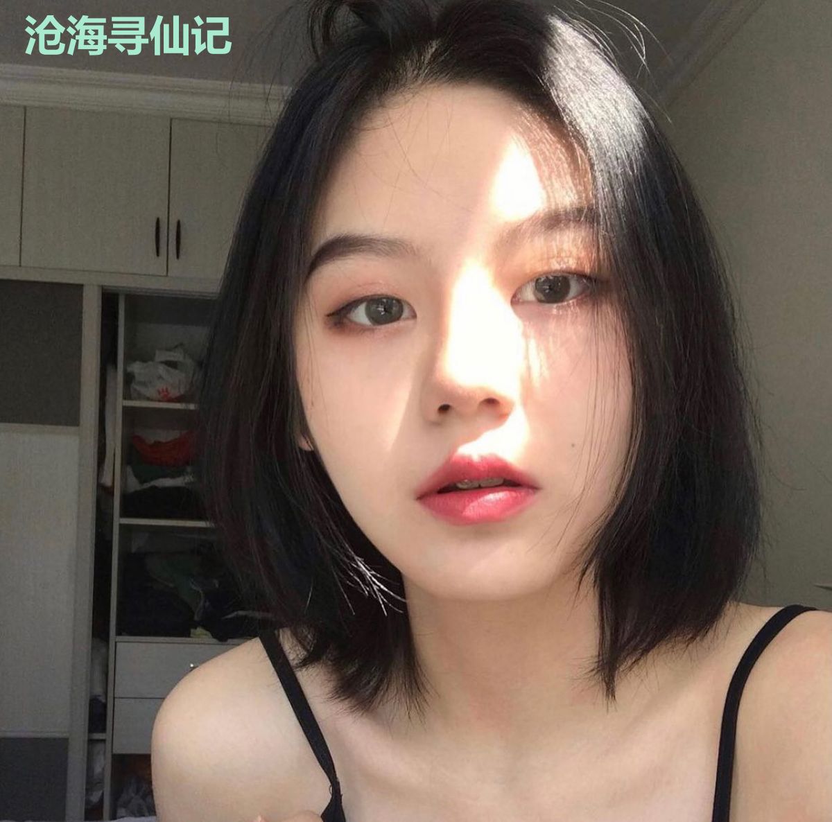 沧海寻仙记