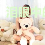 泪眼中的前行