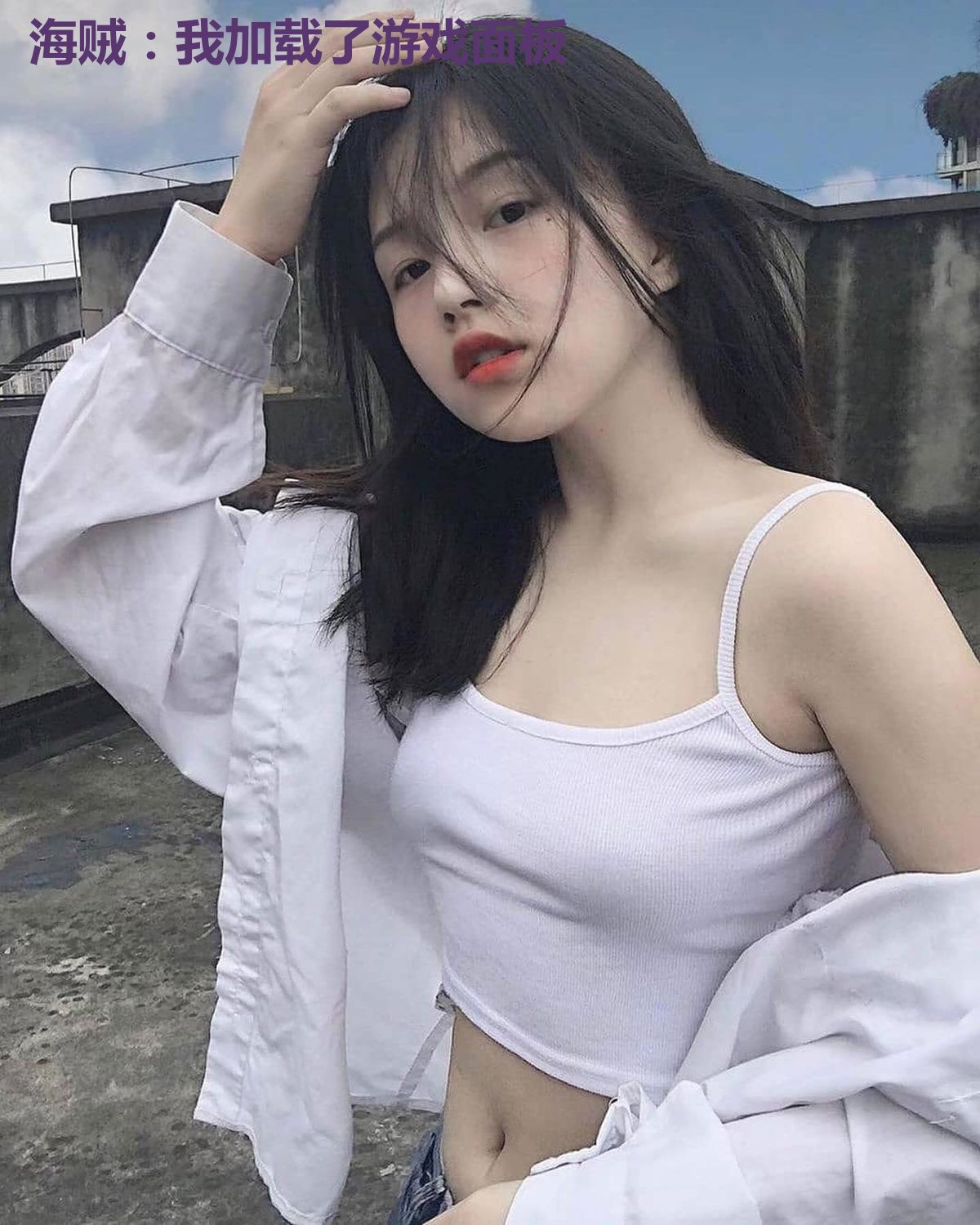 海贼:我加载了游戏面板