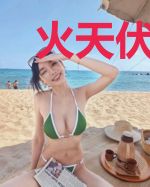 火天伏魔录