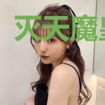 灭天魔皇叶天