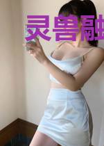 灵兽融合师