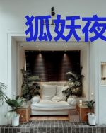 狐妖夜王妃