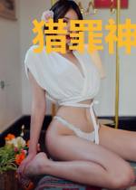 猎罪神探宋阳
