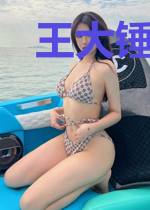 王大锤李新月