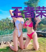 王者荣耀之巅峰高手