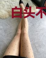 白头不相离