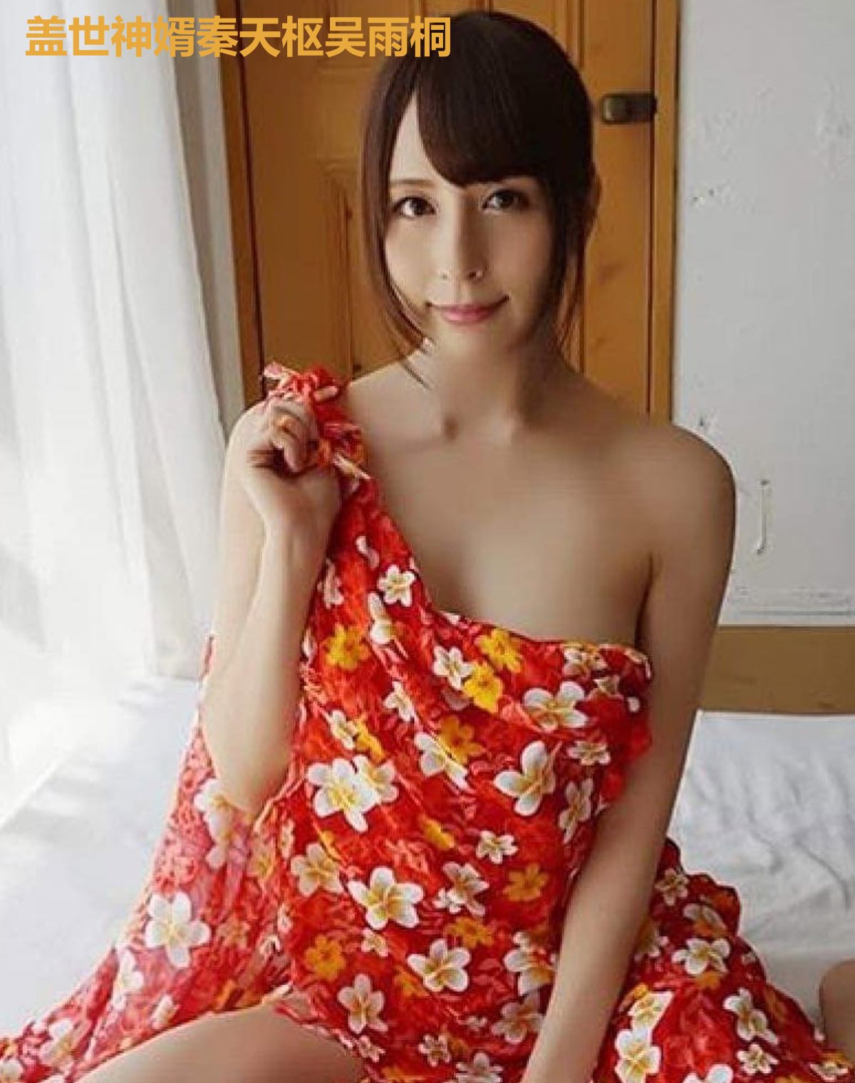 盖世神婿秦天枢吴雨桐