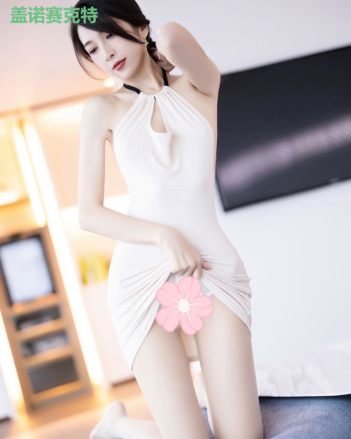 盖诺赛克特