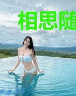 相思随风入我怀白芷晴