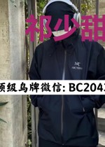 祁少甜妻娶一赠二