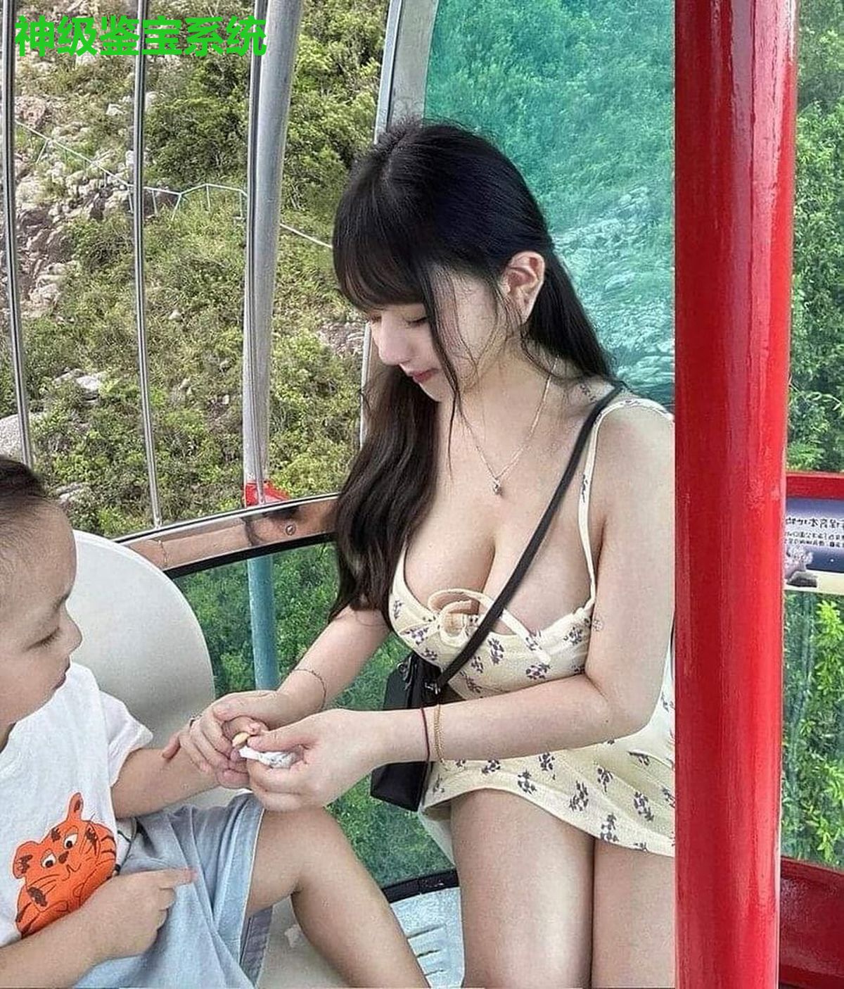 神级鉴宝系统