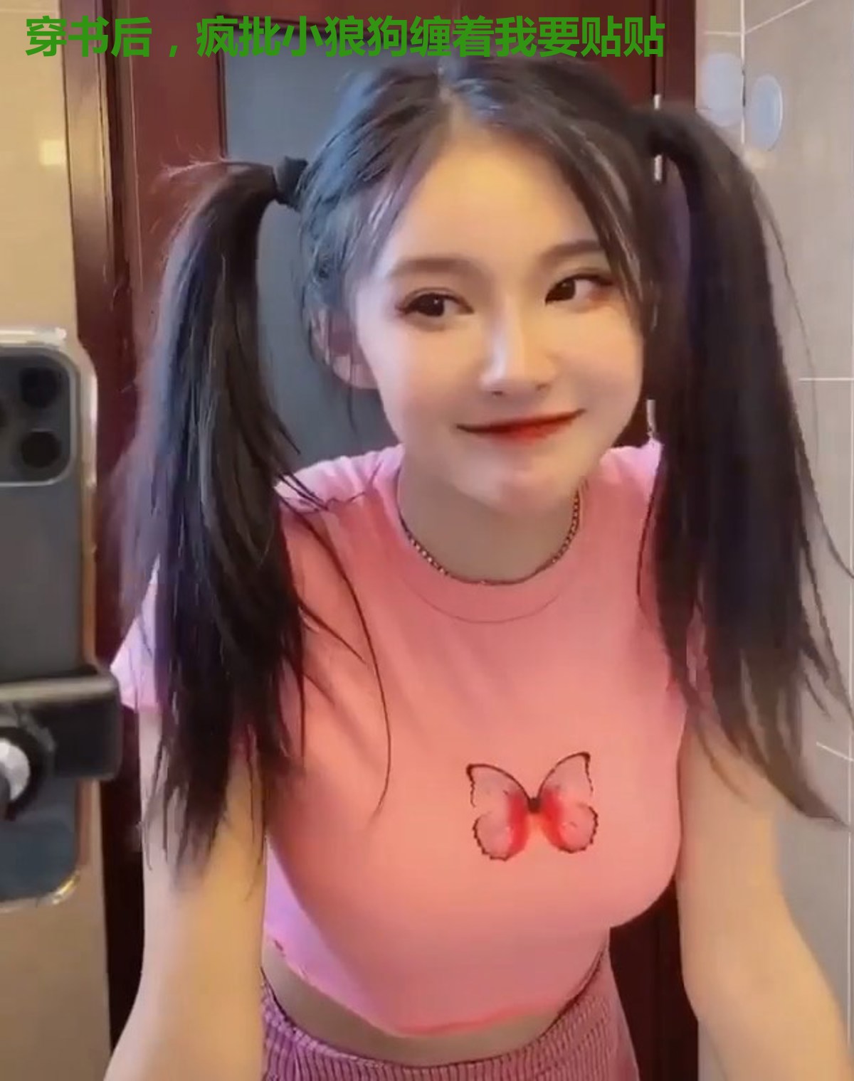 穿书后,疯批小狼狗缠着我要贴贴