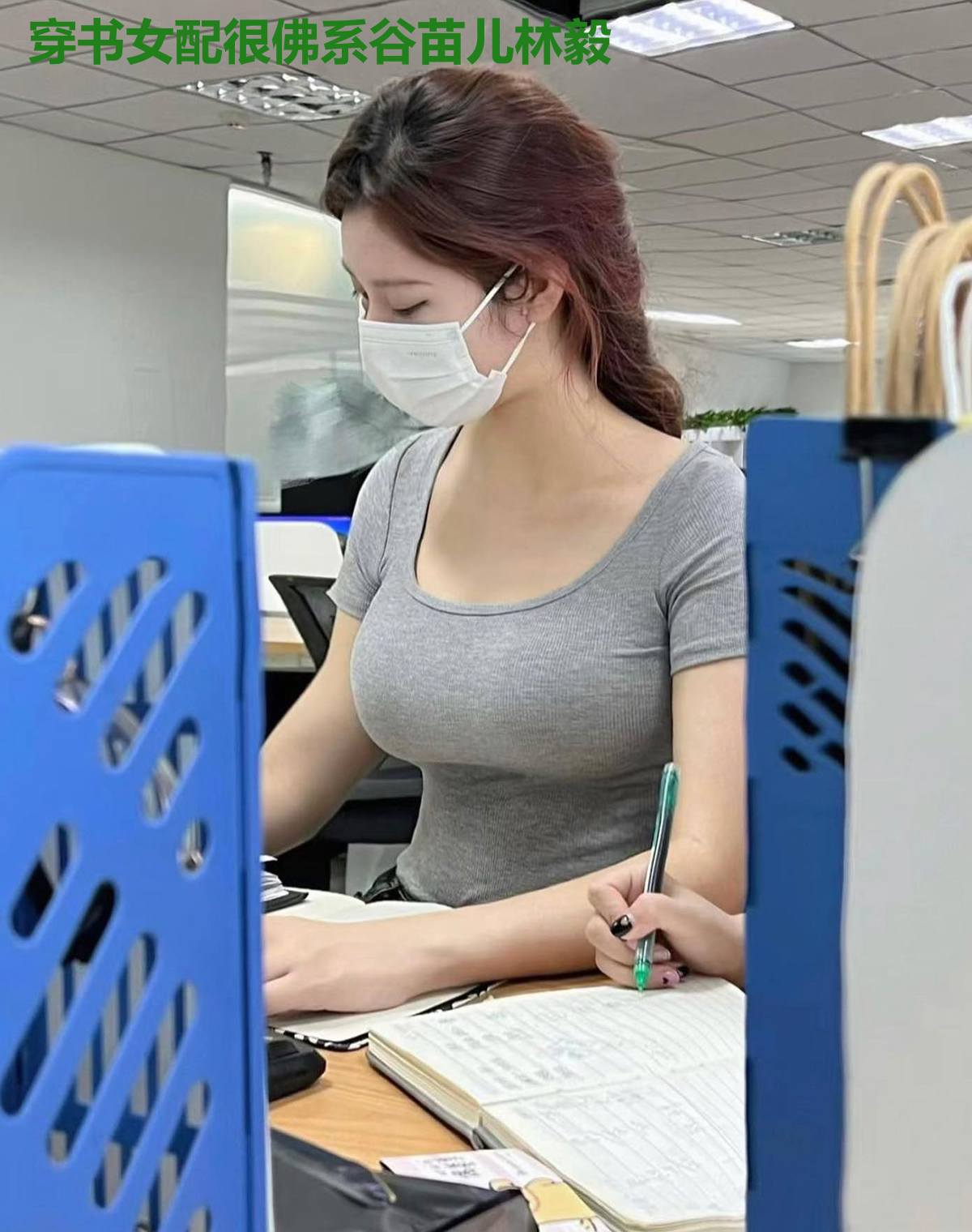穿书女配很佛系谷苗儿林毅