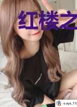 红楼之宰执天下