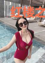红楼之尴尬夫妻