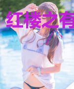 红楼之有凤来袭
