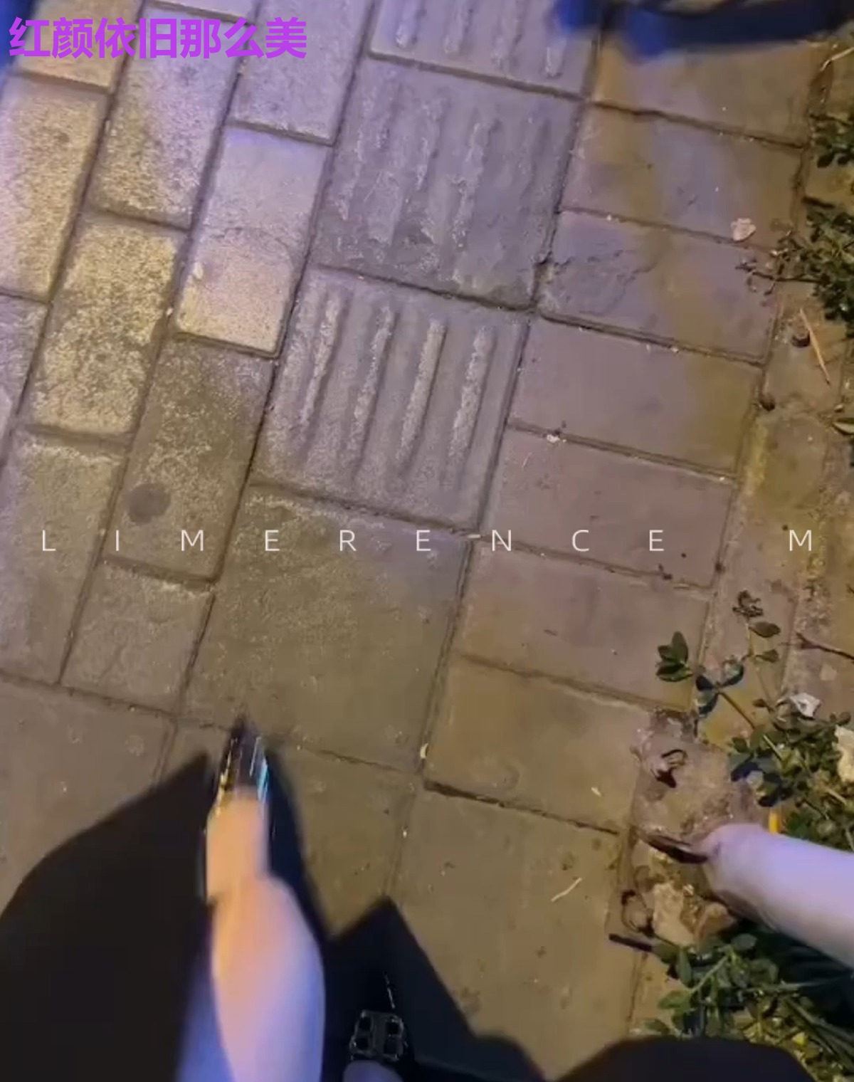 红颜依旧那么美