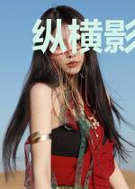 纵横影视当大佬