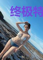 终极特种兵王