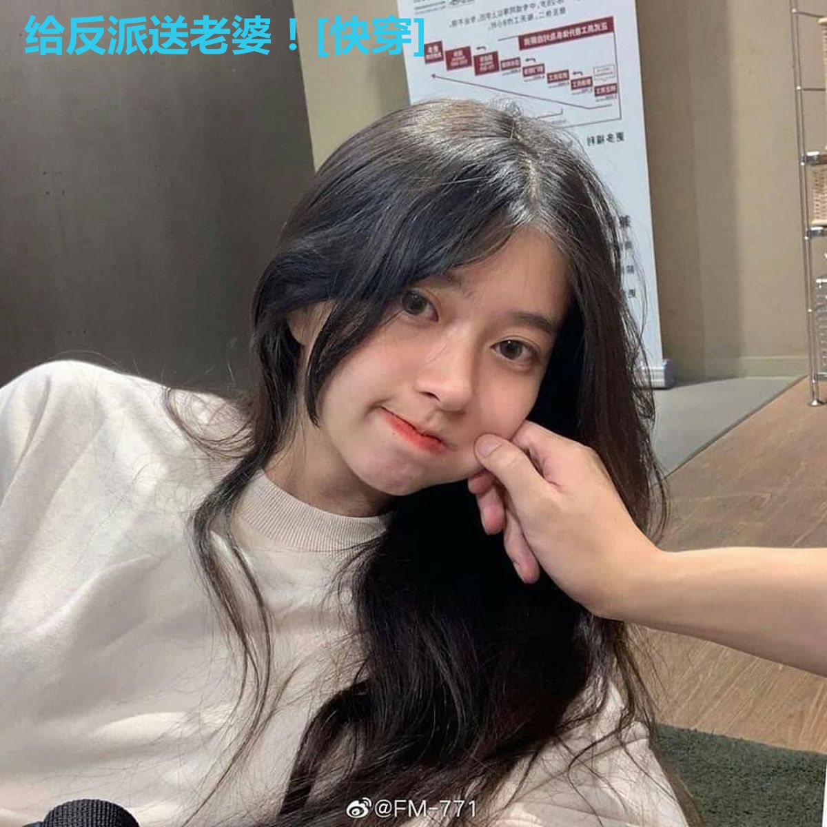 给反派送老婆！[快穿]