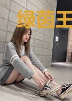 绿茵王牌9号