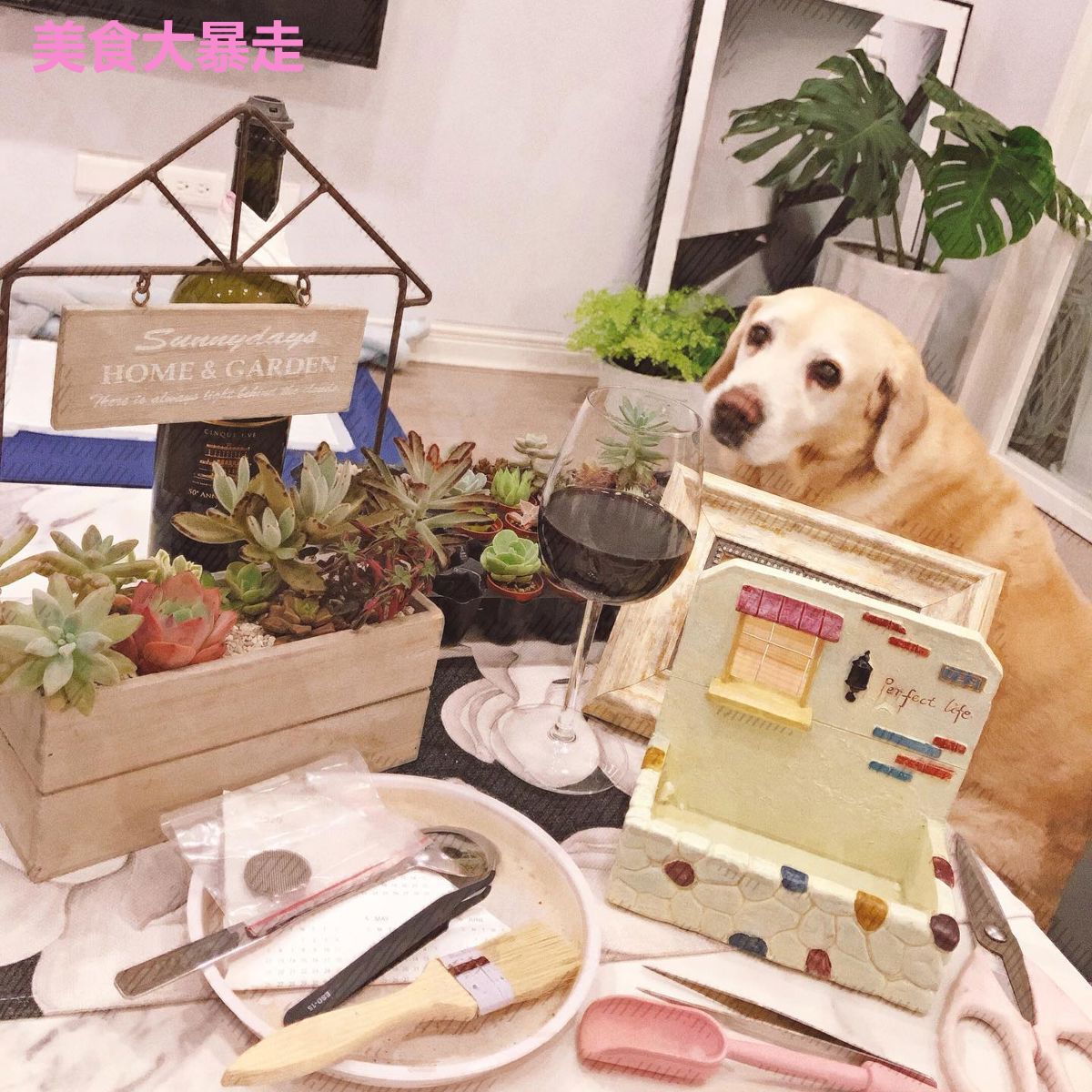 美食大暴走