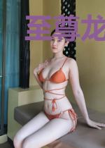 至尊龙拳龙义