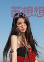 苏想想段景年
