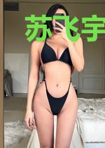 苏飞宇林轻烟