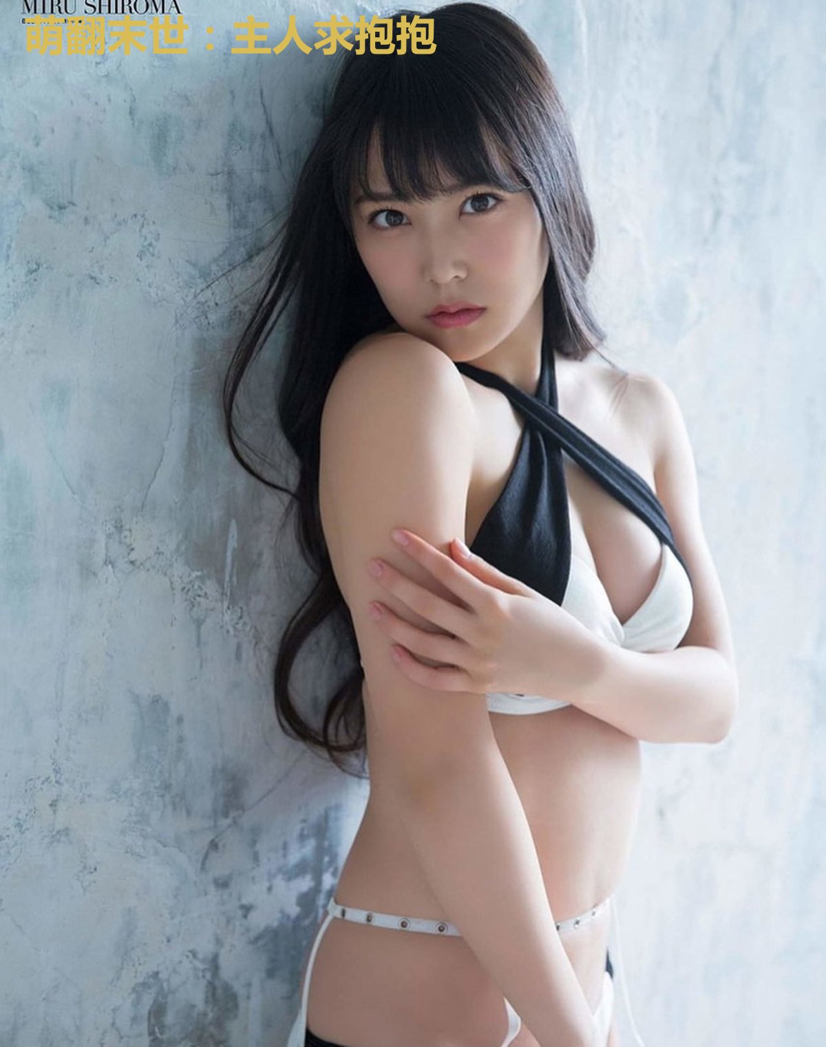 萌翻末世：主人求抱抱
