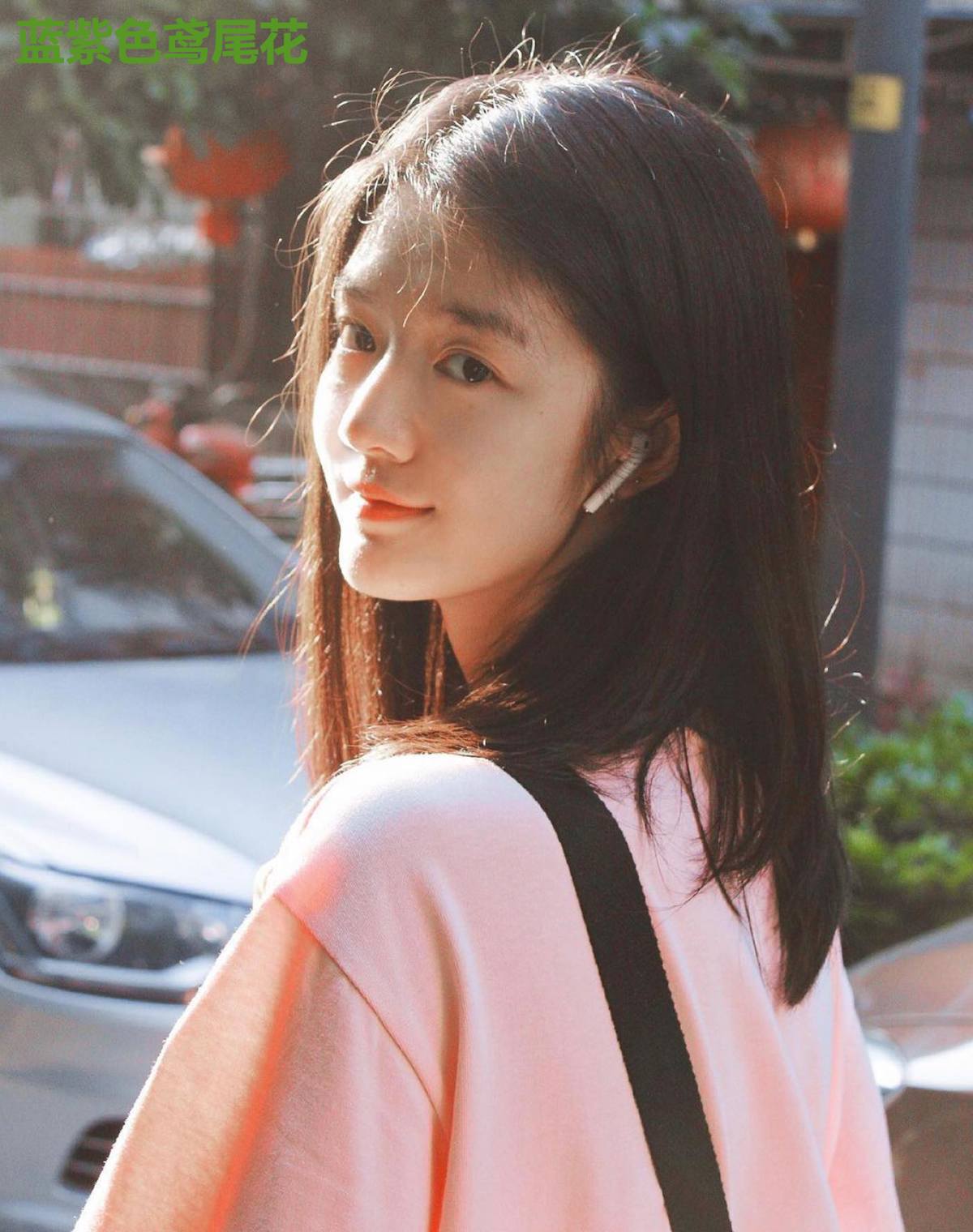 蓝紫色鸢尾花