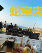 蛇宝来袭 萌妃太嚣张