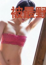 被最野的他一见钟情